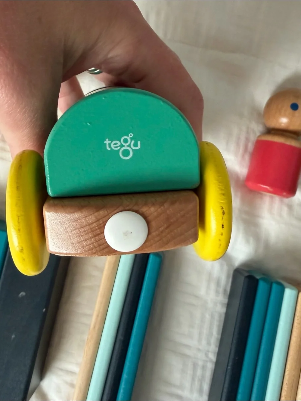 Tegu wooden magnet